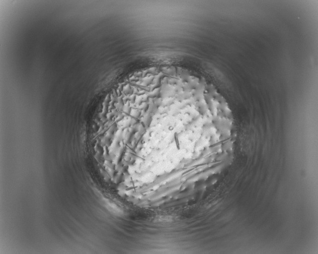 X0000062800314200601051118