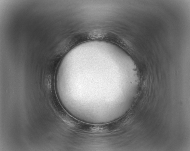 X0000062800315200601051118