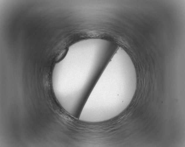 X0000062800317200601051118