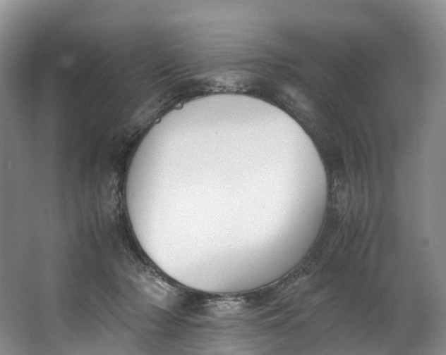 X0000062800318200601051118