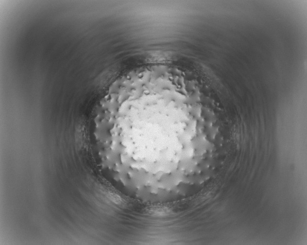X0000062800322200601051118