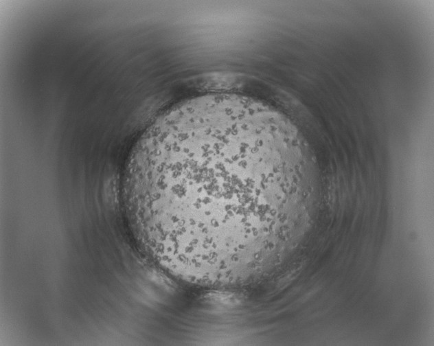 X0000062800326200601051118
