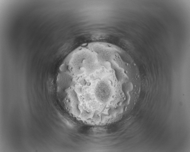 X0000062800327200601051118