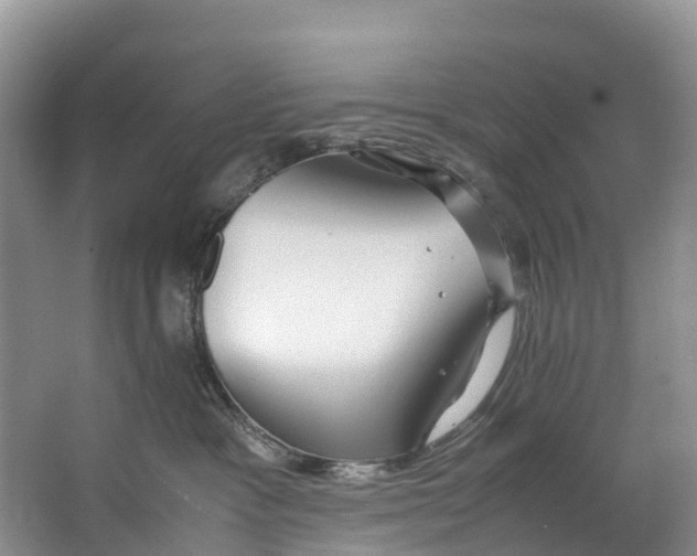 X0000062800333200601051118