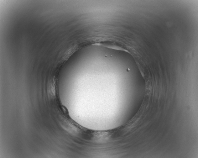 X0000062800334200601051118