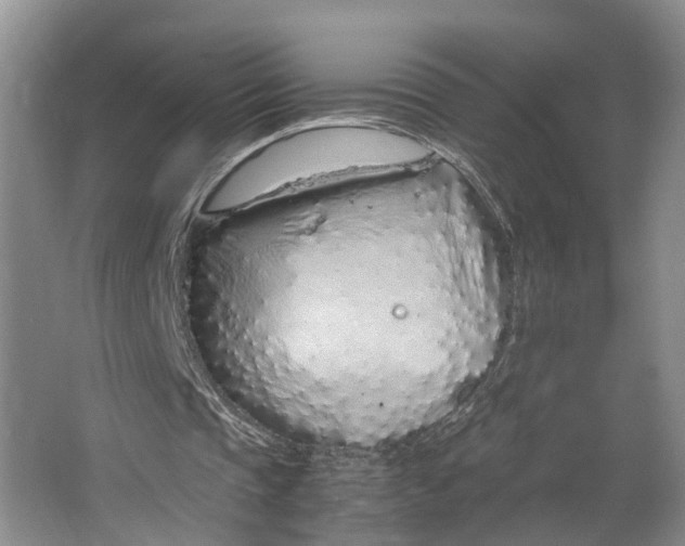 X0000062800337200601051117