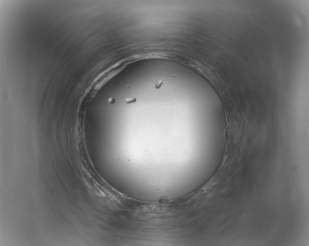 X0000062800338200601051117