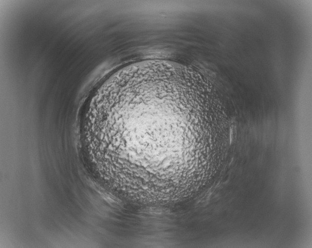 X0000062800339200601051117