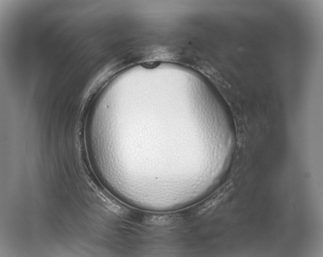 X0000062800341200601051117