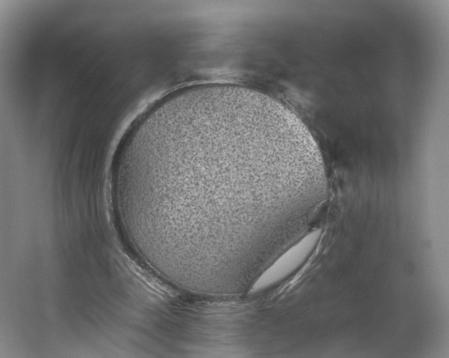 X0000062800342200601051117