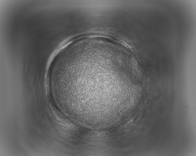 X0000062800343200601051117