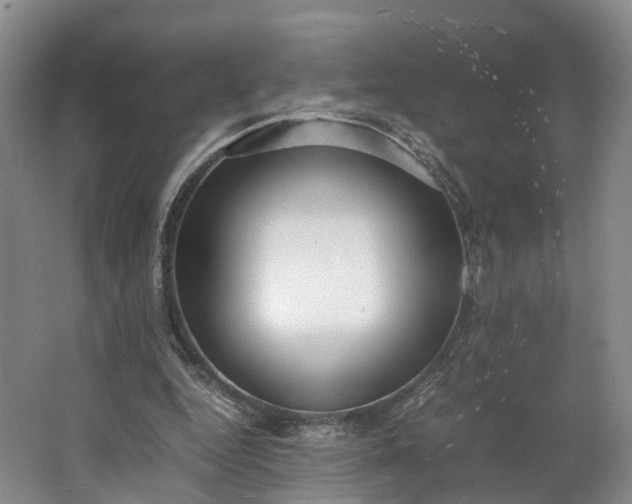 X0000062800344200601051117