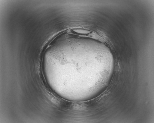 X0000062800346200601051117