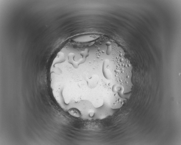 X0000062800347200601051117