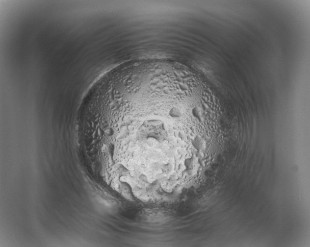 X0000062800351200601051117