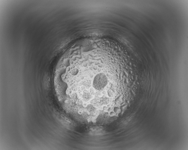 X0000062800355200601051118