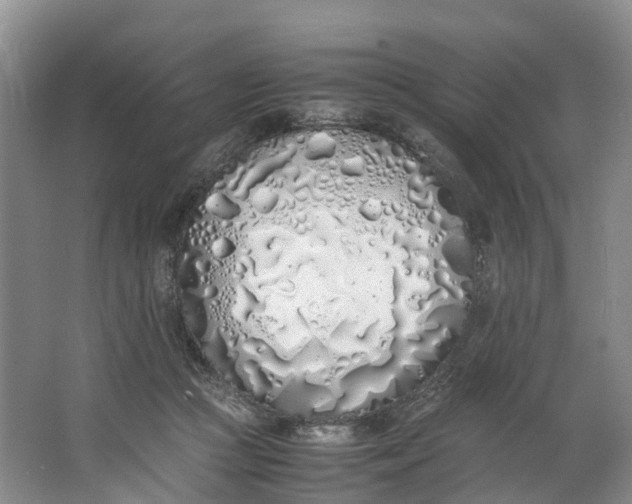 X0000062800361200601051118