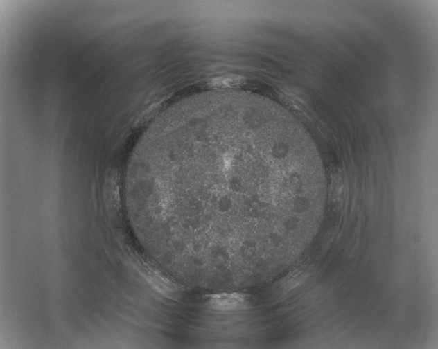 X0000062800363200601051118