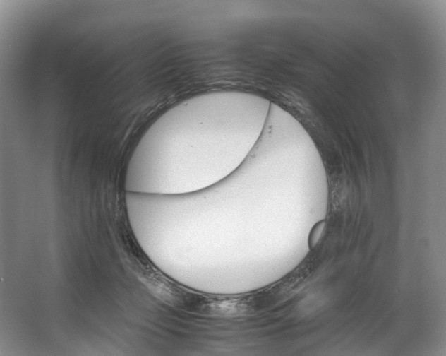 X0000062800365200601051118