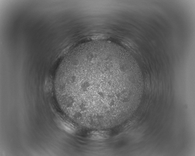 X0000062800367200601051118