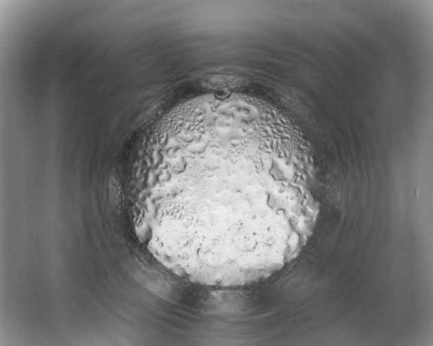 X0000062800371200601051118