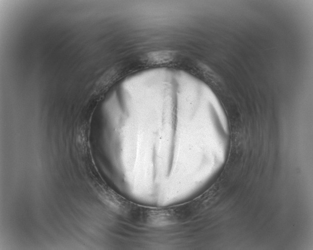 X0000062800373200601051118