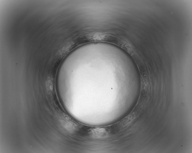 X0000062800374200601051118