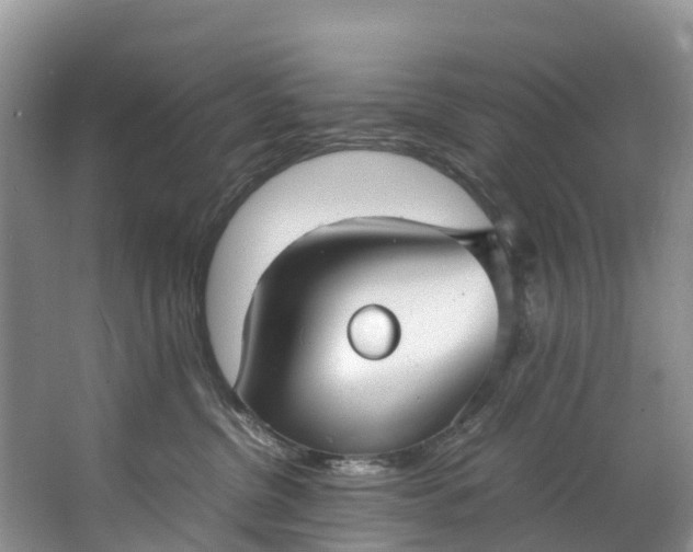 X0000062800380200601051118