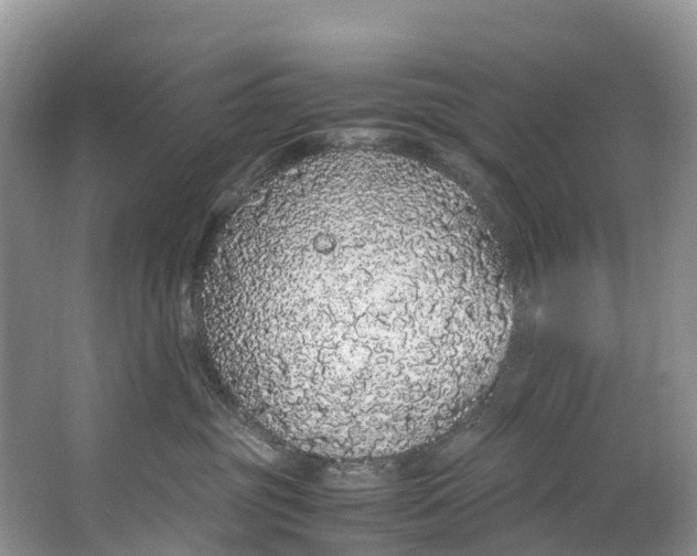 X0000062800381200601051118