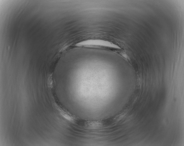 X0000062800383200601051118