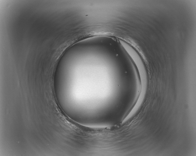 X0000062800385200601051117