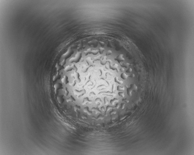 X0000062800386200601051117