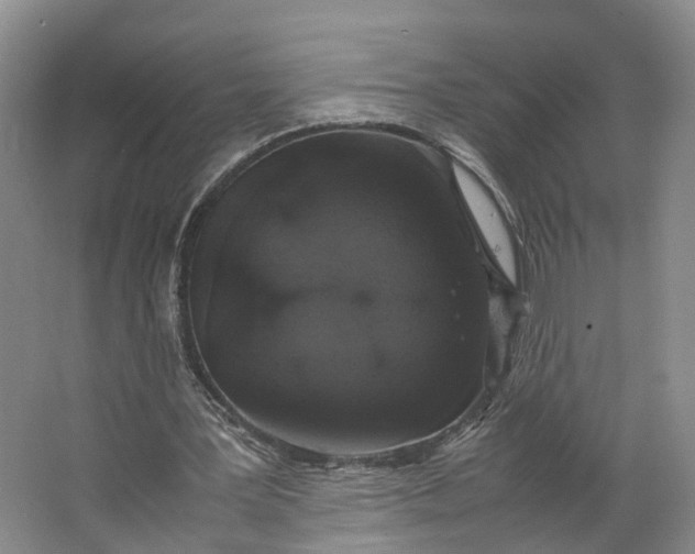 X0000062800387200601051117