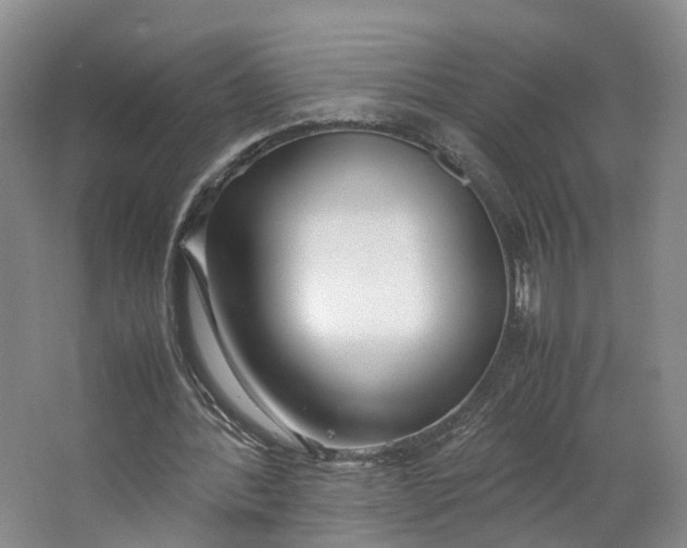 X0000062800388200601051117