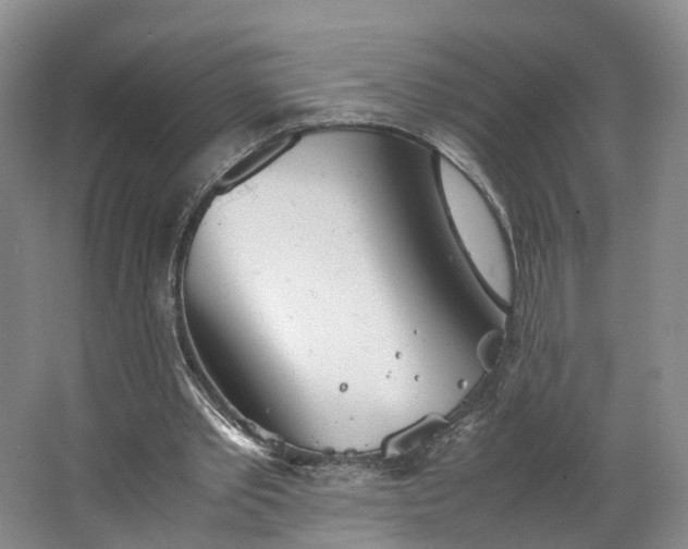 X0000062800389200601051117