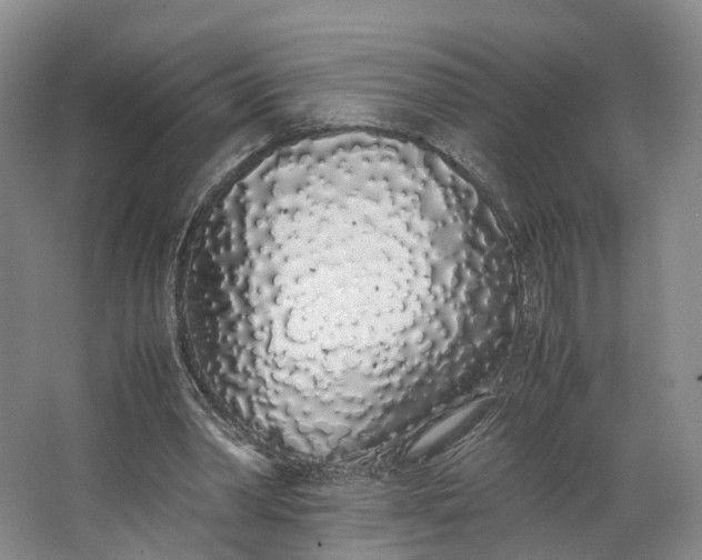 X0000062800390200601051117