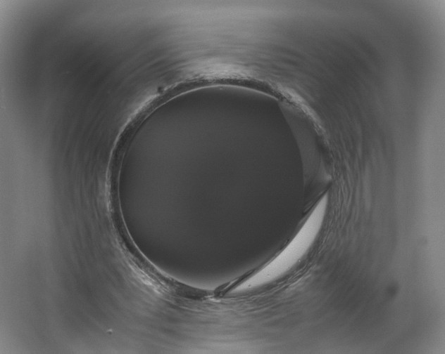 X0000062800391200601051117