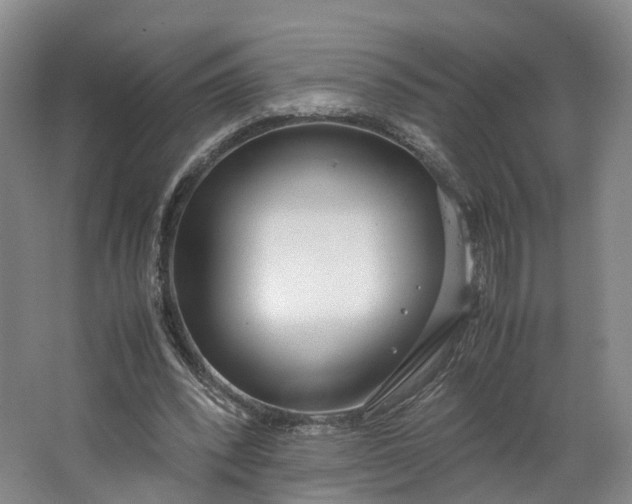 X0000062800392200601051117