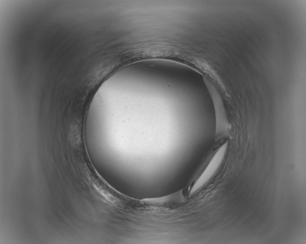 X0000062800393200601051117