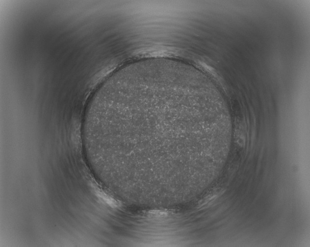 X0000062800394200601051117