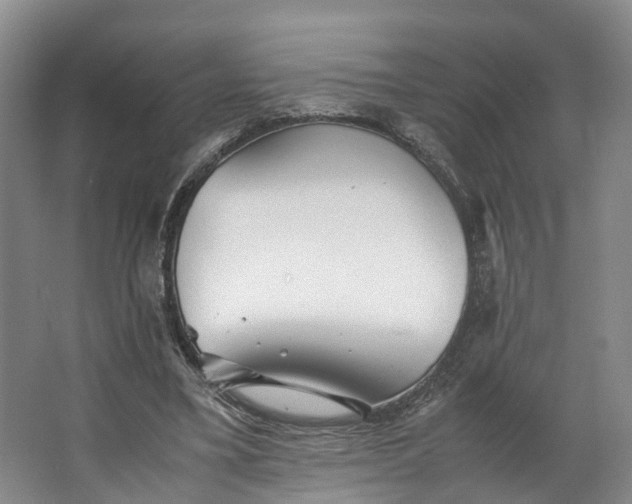 X0000062800395200601051117