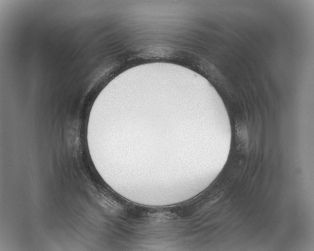 X0000062800396200601051117