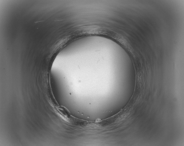 X0000062800397200601051117