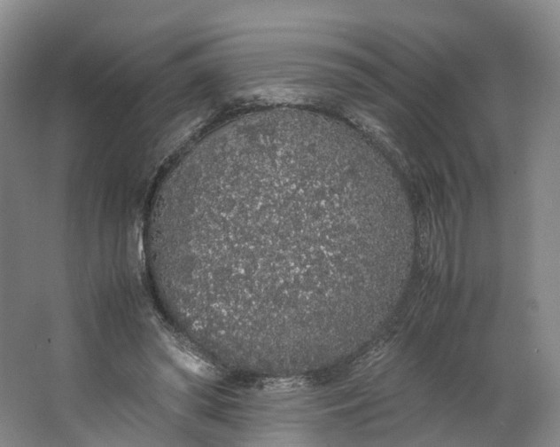 X0000062800398200601051117