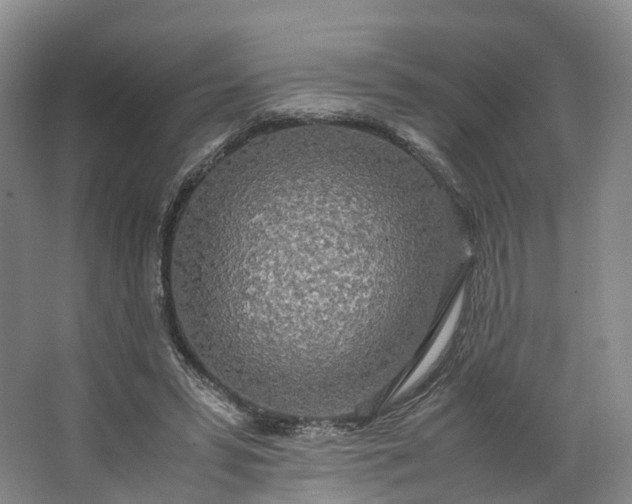 X0000062800399200601051117