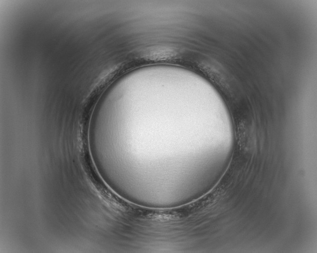 X0000062800400200601051117