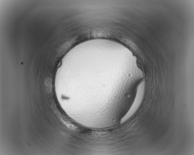 X0000062800401200601051117