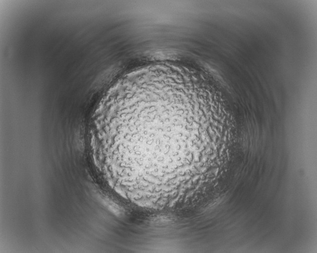 X0000062800402200601051117