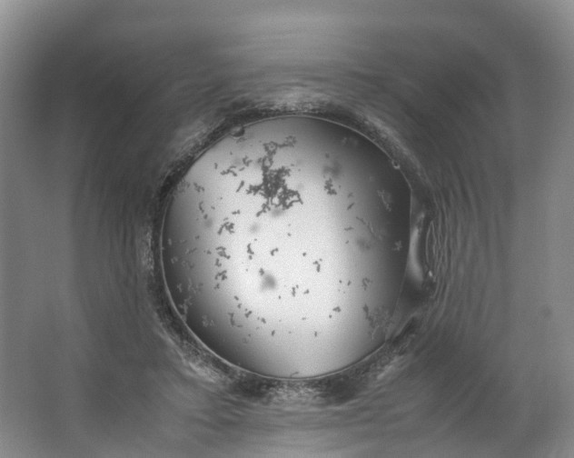 X0000062800403200601051117