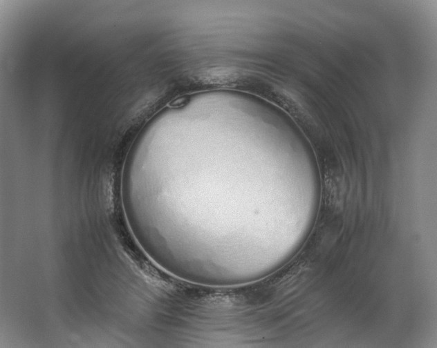 X0000062800404200601051117